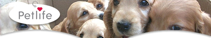 Petlife logo